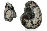 Septarian Dragon Egg Geode - Removable Section #203821-1